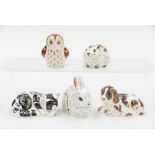 Five Royal Crown Derby Collectors Club paperweights, all boxed: Owlet, Bank Vole, Sleeping Kitten,,