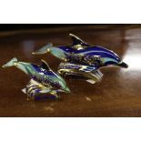 Royal Crown Derby 1st quality limited edition 1064/1500 Lyme Bay Dolphin 'Mother' with limited