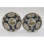 Pair of Worcester cabinet plates, hand painted with birds and insects in cartouche,