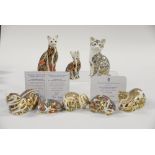 A group of Royal Crown Derby Cats and Kittens: Siamese Cat, Siamese Kitten, Majestic Cat,