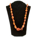 An amber necklace, irregular shaped graduated beads, approximate weight all in 1.