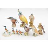 A collection of Beswick Birds, including Cockatoo 1180, Kestrel, Thrush,