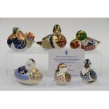 Six Royal Crown Derby Ducks and Ducklings: Bakewell Duckling, Mandarin Duck, Bakewell Duck,