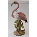 An Italian Flamingo,
