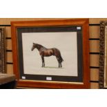 Jane Purkis, The Cleveland Bay, watercolour of a Horse, signed,