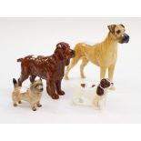 Four Beswick dogs, Great Dane (Ruler of Ouborough).