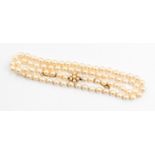 A single row cultured pearl necklace on a 9ct gold clasp