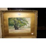 J. Isherwood, The Major Oak, watercolour, signed l.l.