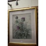 A large watercolour painting 'Highland Thistles' by Thomas Bushby 1855,