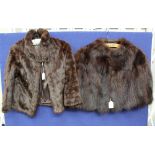 Early 1950 Musquash cape, a short fur jacket 1950, every wear,