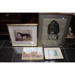 M Cox, a framed and glazed pastel of a Spaniel, dated 1979,