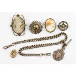 A collection including two Victorian cameo brooches, two further brooches,