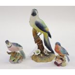 A Royal Crown Derby figure of a Macaw,