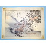 Antique Japanese Wood Block Prints By BAIREI KONO (Kyoto School) Depicting Lizard, Unframed, 10x7