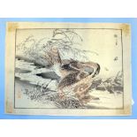 Antique Japanese Wood Block Prints By BAIREI KONO (Kyoto School) Depicting Birds Of Prey,