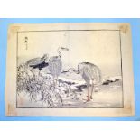 Antique Japanese Wood Block Prints By BAIREI KONO (Kyoto School) Depicting Cranes, Unframed, 10x7