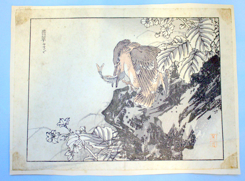 Antique Japanese Wood Block Prints By BAIREI KONO (Kyoto School) Depicting Kingfisher, Unframed,