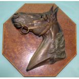 Cold Painted Austrian Horses Head On Wood Plaque, Signed To Neck, Looks To Be R Chock, The Whole