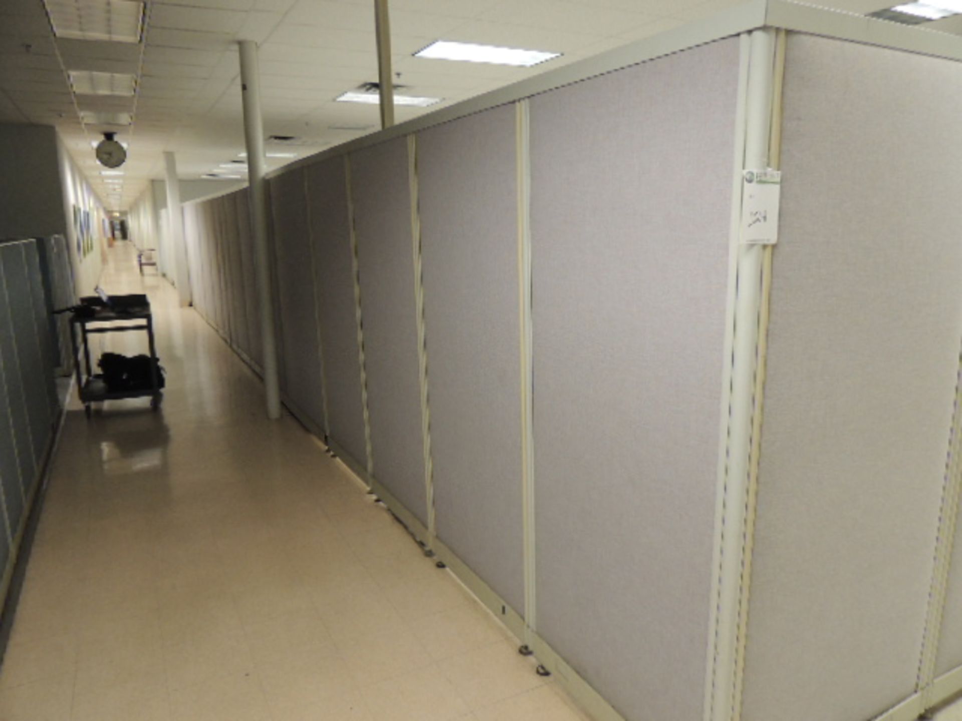 Office Cubicles & Contents. Lot: (8) offices w/ wooden and metal desks, file cabinets and lateral