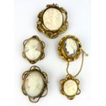 Five cameo brooches, the largest 4.2cm overall 6.5cm.