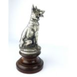French early 20th C statue of German shepherd/Alsatian dog, signature underneath, S Villiers, toward