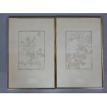 Two limited edition botanical prints by Anna Pugh (B1938) from an edition of 150 31x 22cm