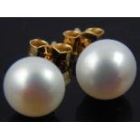 Pair of 9ct yellow gold pearl ear studs.