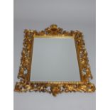 Florentine style giltwood wall mirror with pierced acanthus scroll frame and rectangular bevelled