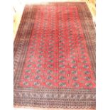 Bokhara carpet, decorated with rows of elephant pad medallions over red ground,