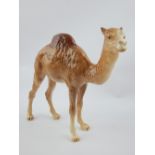 A rare Beswick ceramic model of a Dromedary camel, 19cm tall.