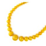 An exceptional natural amber bead necklace comprising forty seven polished amber beads of varying