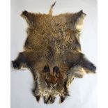 Wild Boar taxidermy skin rug, 181cm l