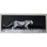 Contemporary monochrome photograph on glass of a stalking leopard,
