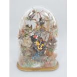 Late Victorian taxidermy group, showing a variety of fourteen birds mounted in a bush,