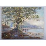 Early 20th C, unsigned, Brazil School, landscape, river's edge and tree study, oil on canvas,