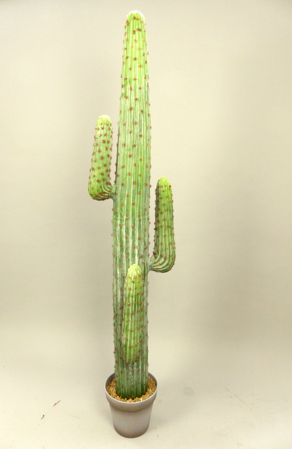 Ornamental desert cactus, 170cm h
