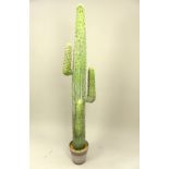 Ornamental desert cactus, 170cm h