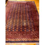 Bokhara carpet, decorated with red and cream elephant pad medallions over indigo ground, within