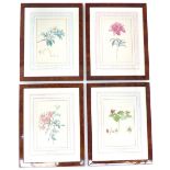 After Franz Andreas Bauer, four coloured botanical prints of Tillium Erectum, Rosa Multiflora Thunb,