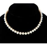 South Sea AAA+ pearl necklace, on a 14ct gold clasp