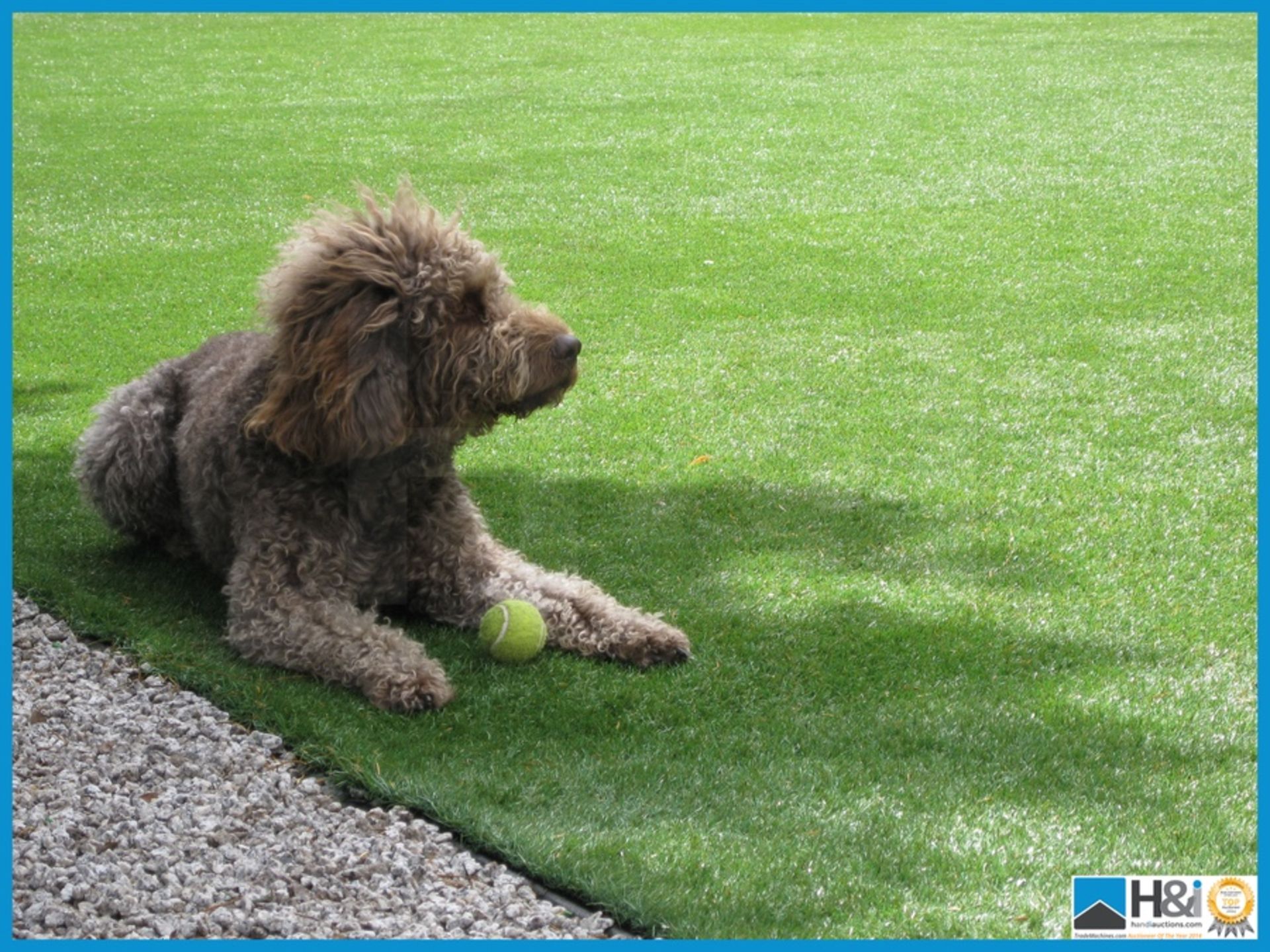 Ultra high-quality 'Woodthorpe' artificial grass. Useage applications, commercial and domestic, - Image 3 of 4