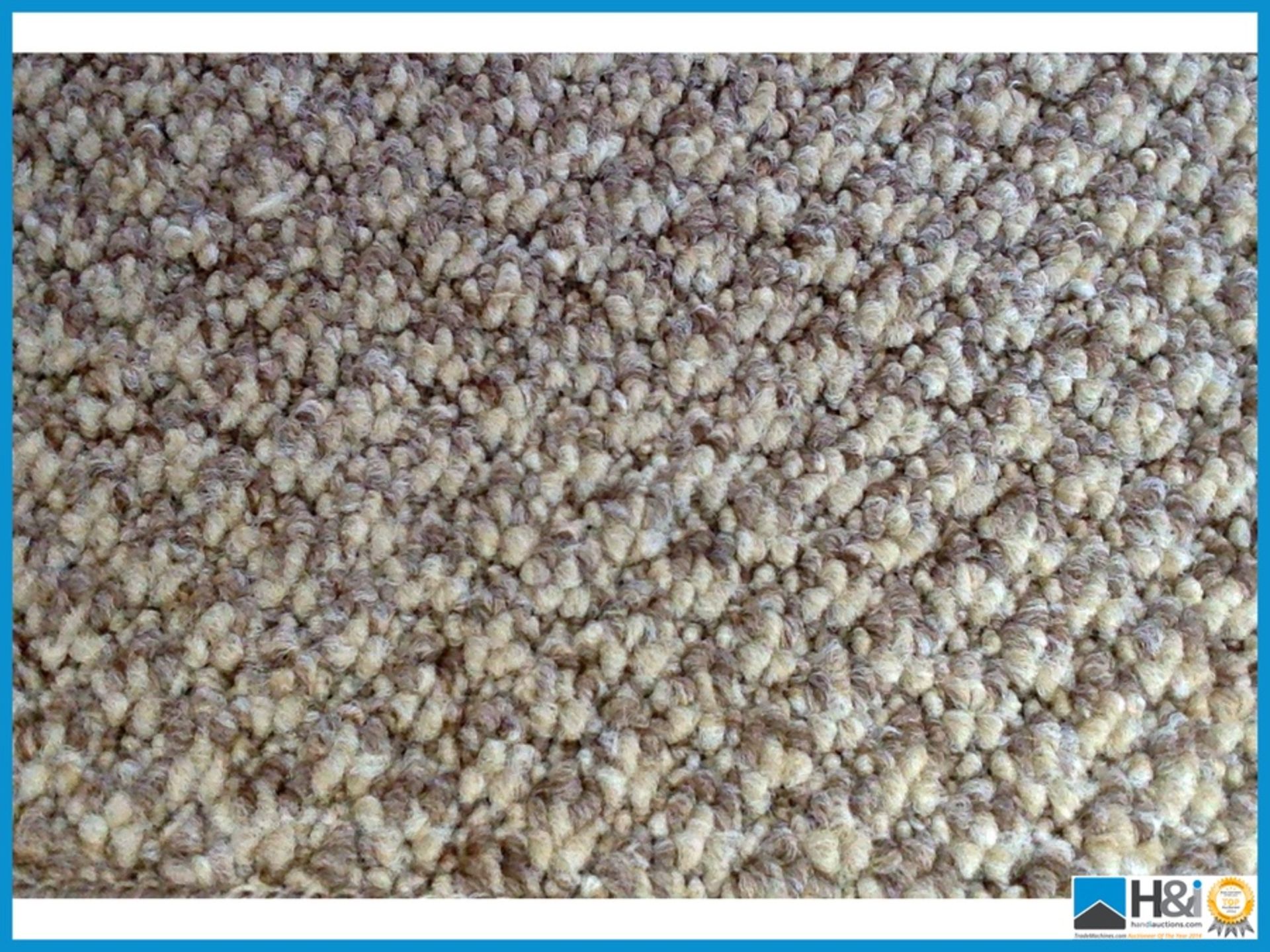 Landlords Special Heavy Domestic Budget Carpeting - Dark Beige. 17.5m x 4m - Total 70m2 Appraisal: