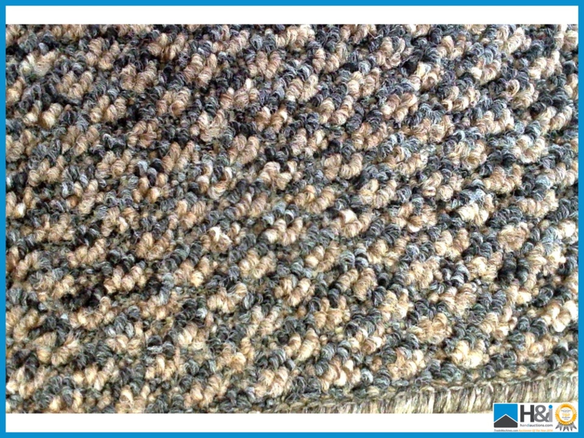 Landlords Special Heavy Domestic Budget Carpeting - Mocca. 17.5m x 4m - Total 70m2 Appraisal: