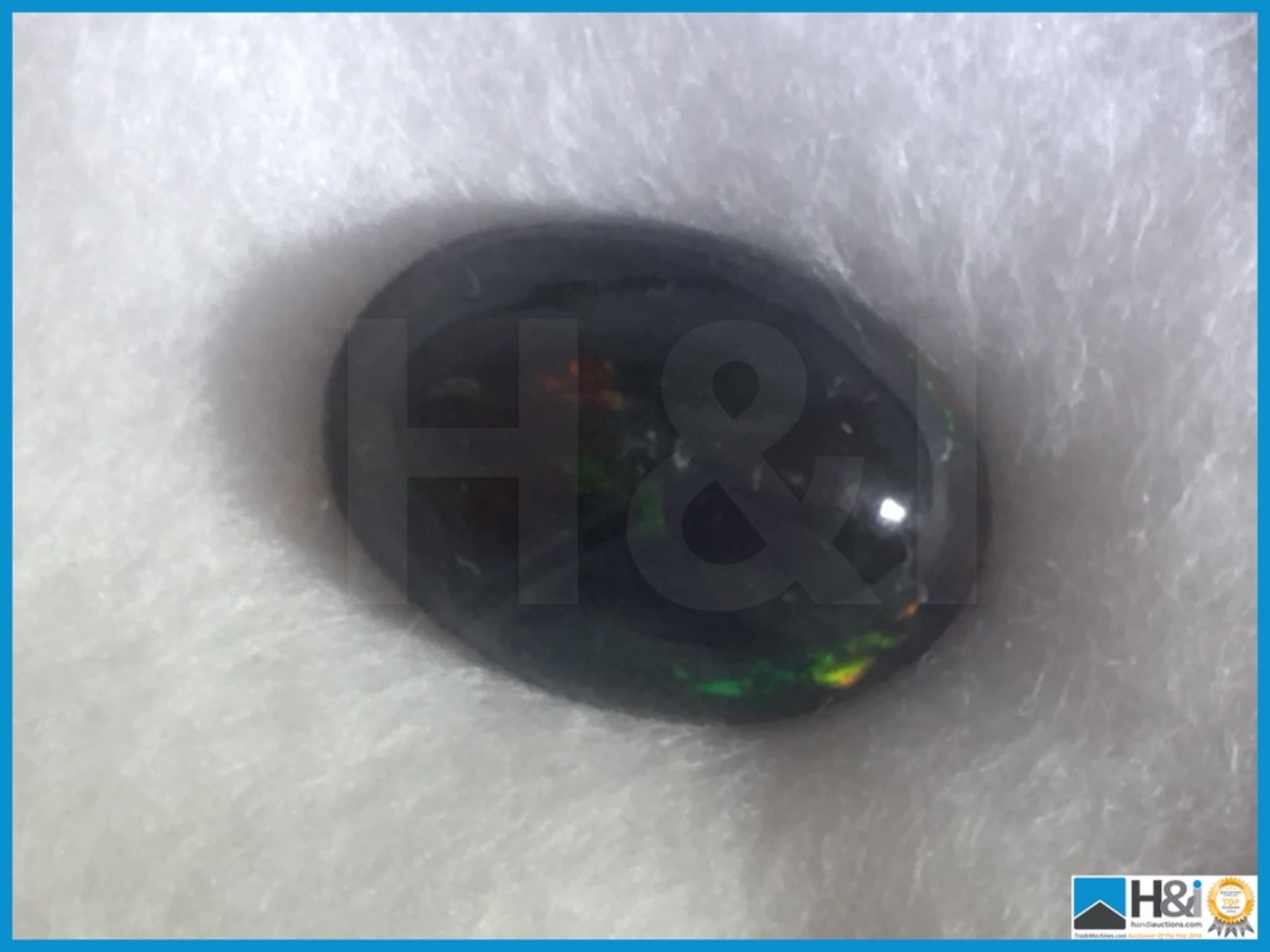 3.21ct Natural Opal Oval Cut. Black with Play of Colours. Opaque with HKD Certificate. Size: 12.