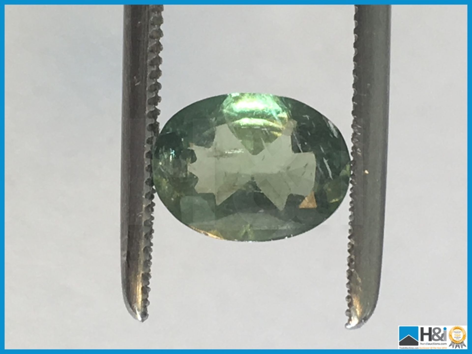 1.28ct Natural Apatite, Oval cut in Green. Size: 8.12x6.02x3.65mm. Certification: None Appraisal: - Image 3 of 4