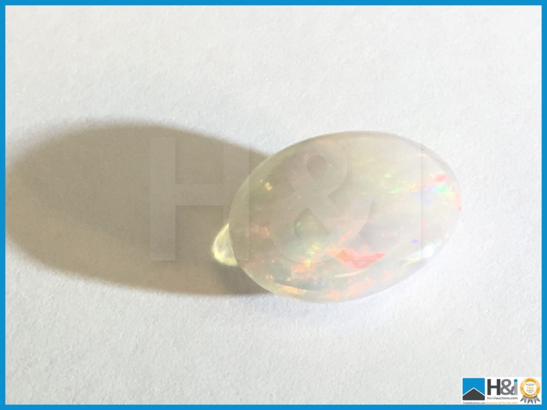 3.95ct Natural Opal. Oval Cabochon in white with play of colours. Size: 13.93x10.62x5.61mm. - Bild 2 aus 3