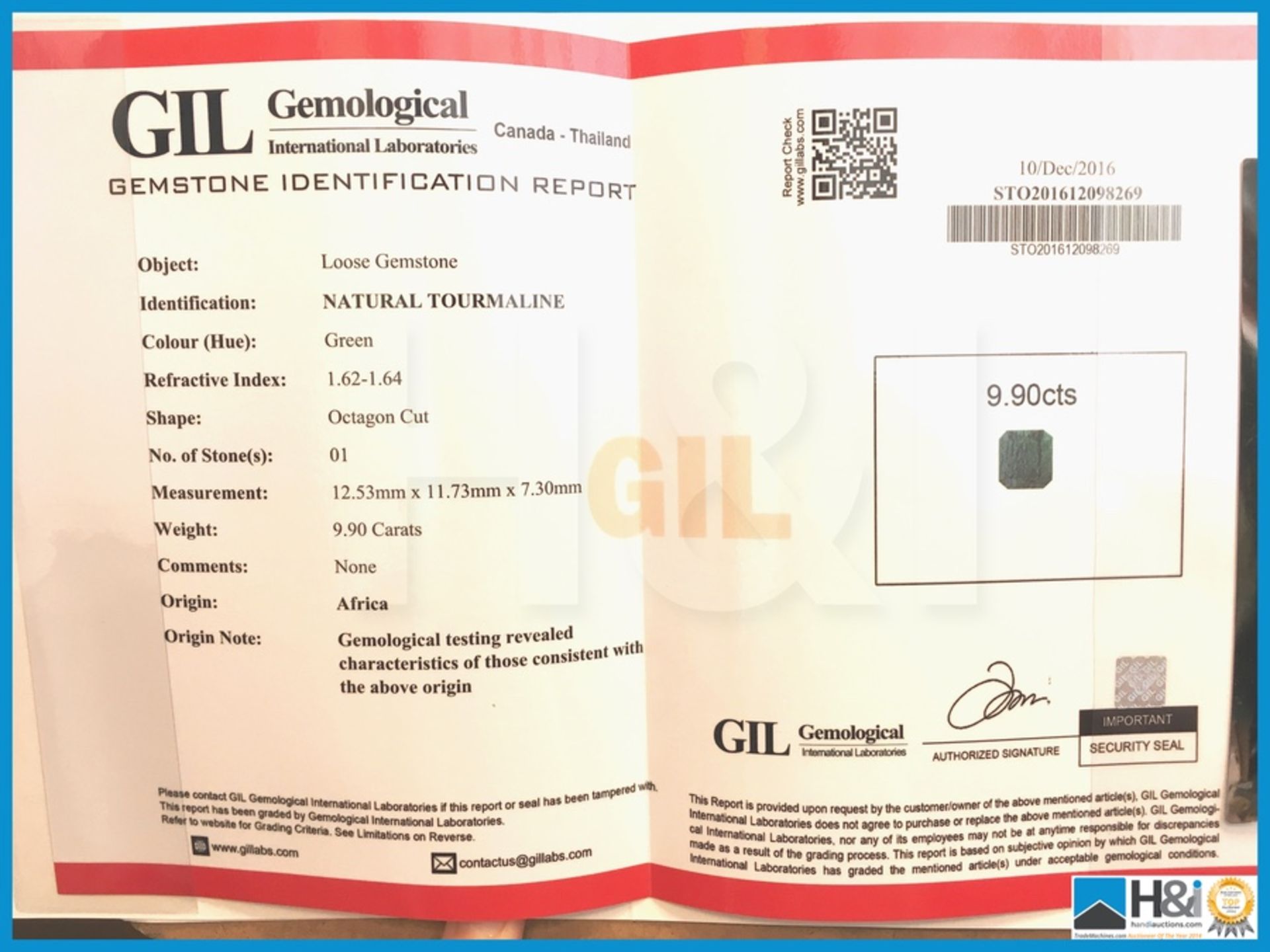 9.90ct Natural Tourmaline. Octagon Cut in Green. Transparent With GIL Certificate. Size: 12.53x11. - Bild 3 aus 5