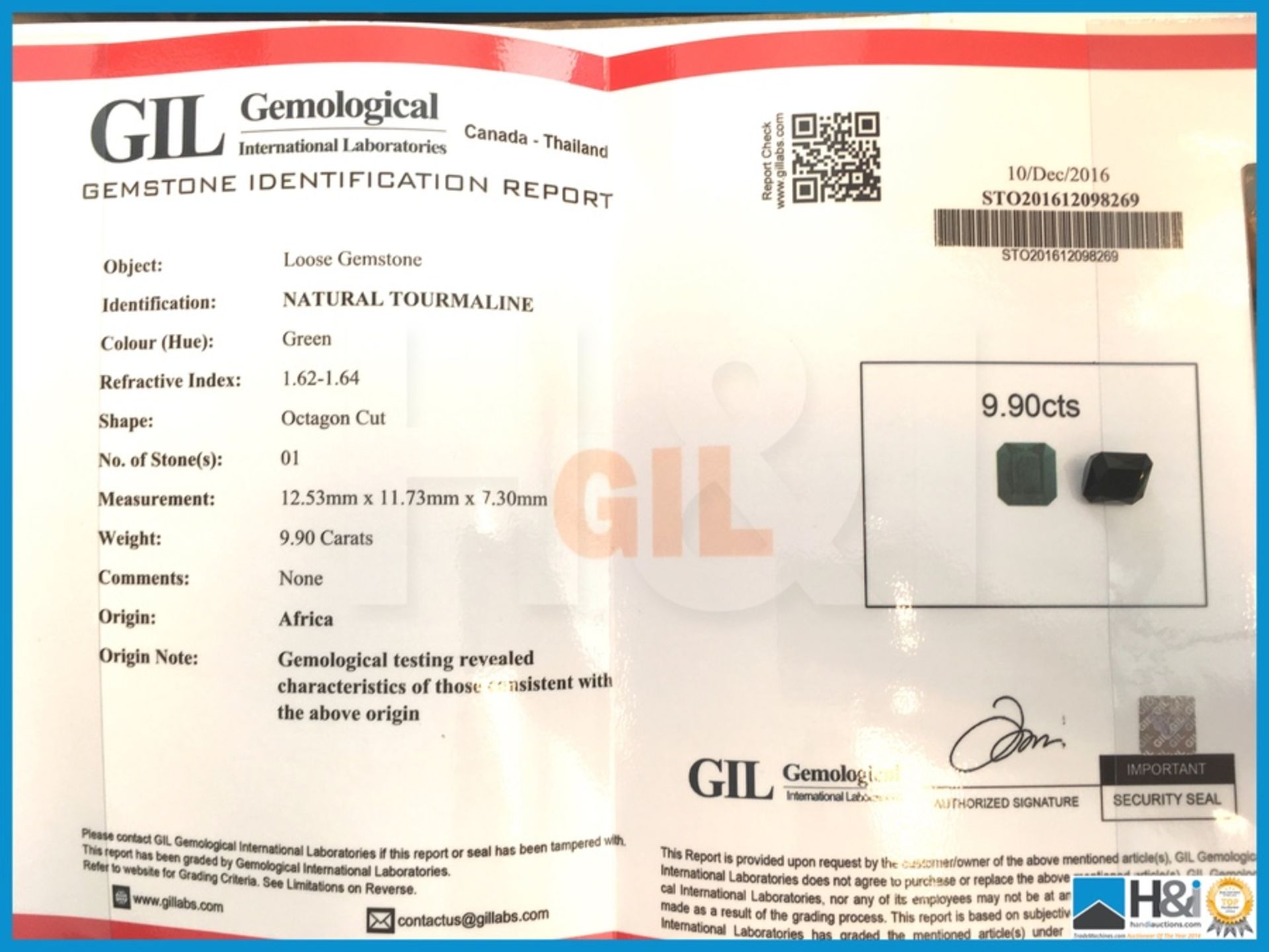 9.90ct Natural Tourmaline. Octagon Cut in Green. Transparent With GIL Certificate. Size: 12.53x11. - Bild 2 aus 5