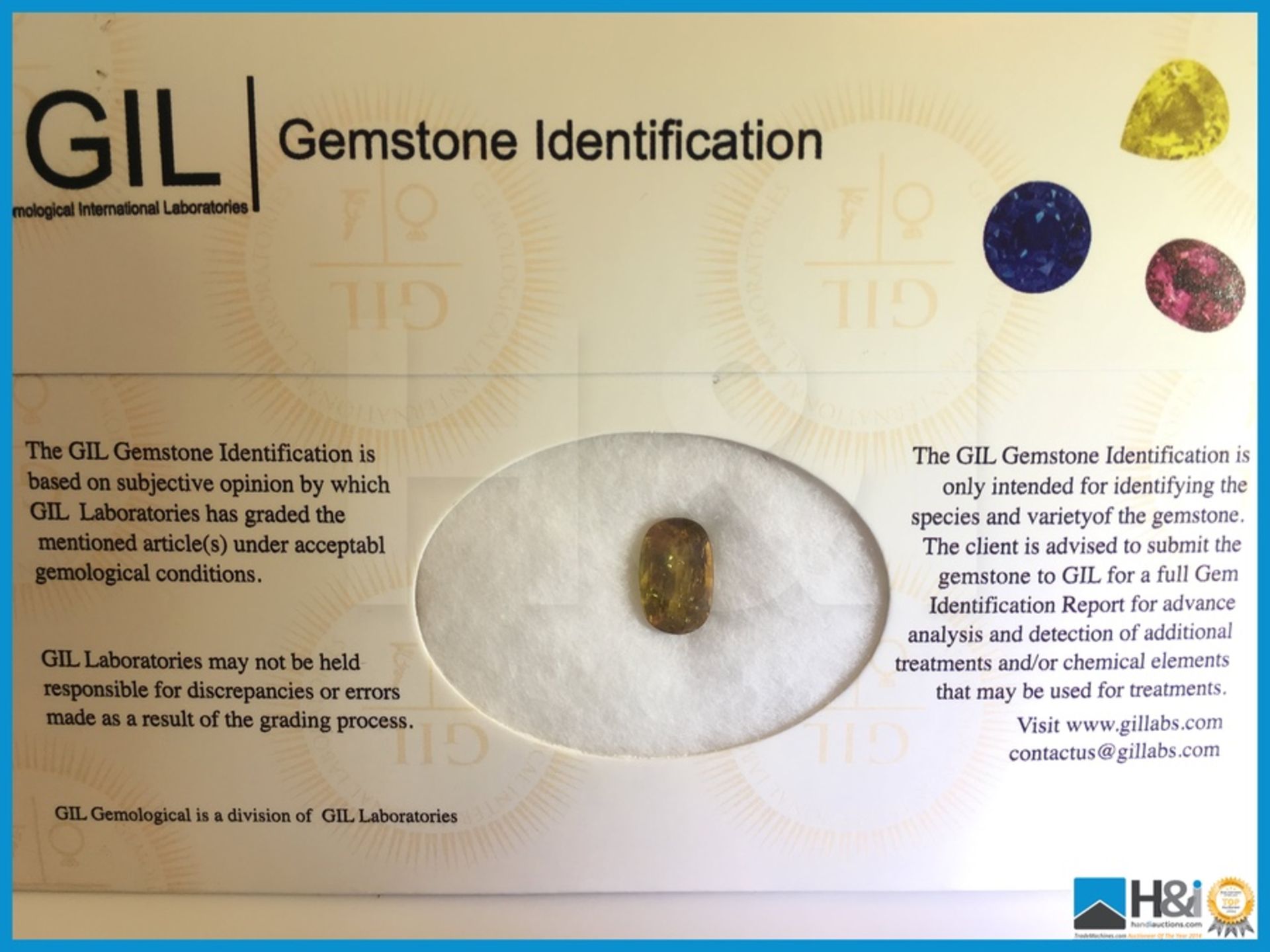 2.65ct Natural Yellow Sapphire. Oval Facetted Cut. Transparent 10.61x6.56x4.04mm. Certification: GIL - Image 3 of 4