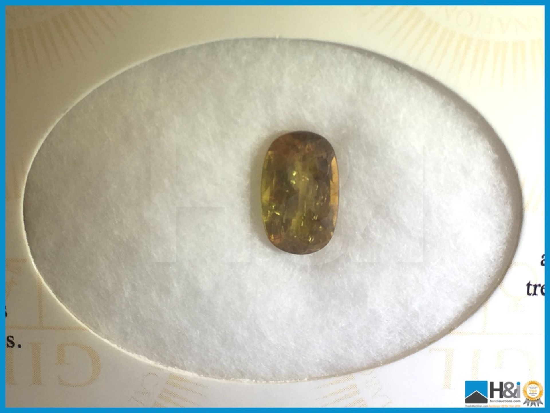 2.65ct Natural Yellow Sapphire. Oval Facetted Cut. Transparent 10.61x6.56x4.04mm. Certification: GIL - Image 2 of 4